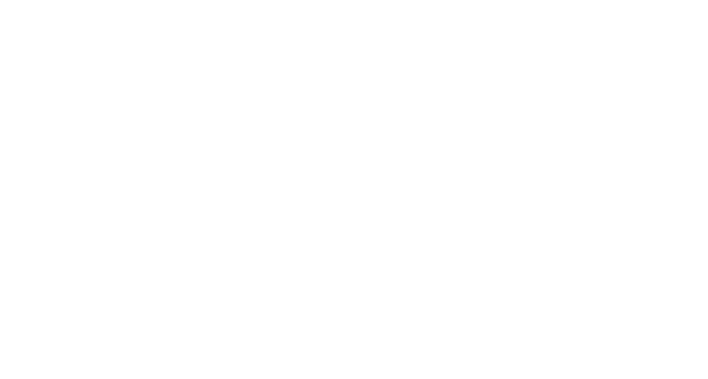 Logo RAFLIteksten